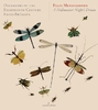 F. Mendelssohn - A Midsummer Night's Dream